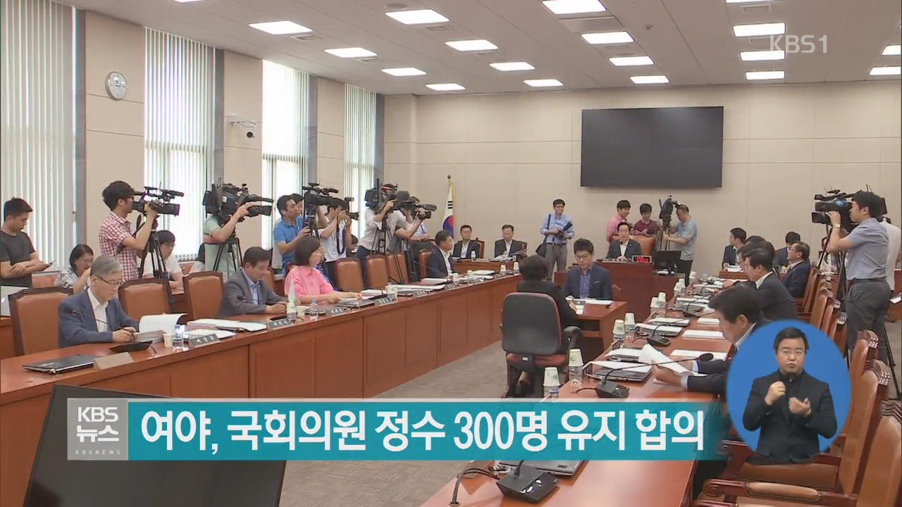 여야, 국회의원 정수 300명 유지 합의