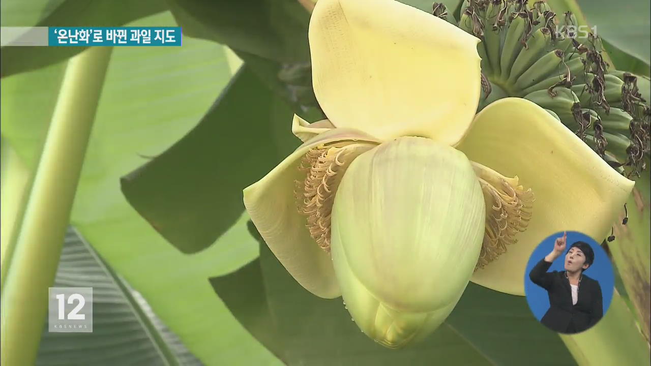 지구온난화로 바뀐 과일 지도