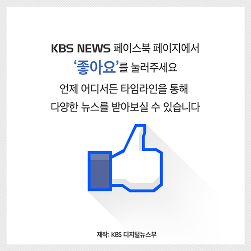 [뉴스픽] 데프콘·워치콘·진돗개…군 대비태세의 모든 것