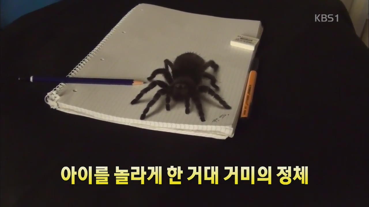 [세상의 창] 아이를 놀라게 한 거대 거미의 정체