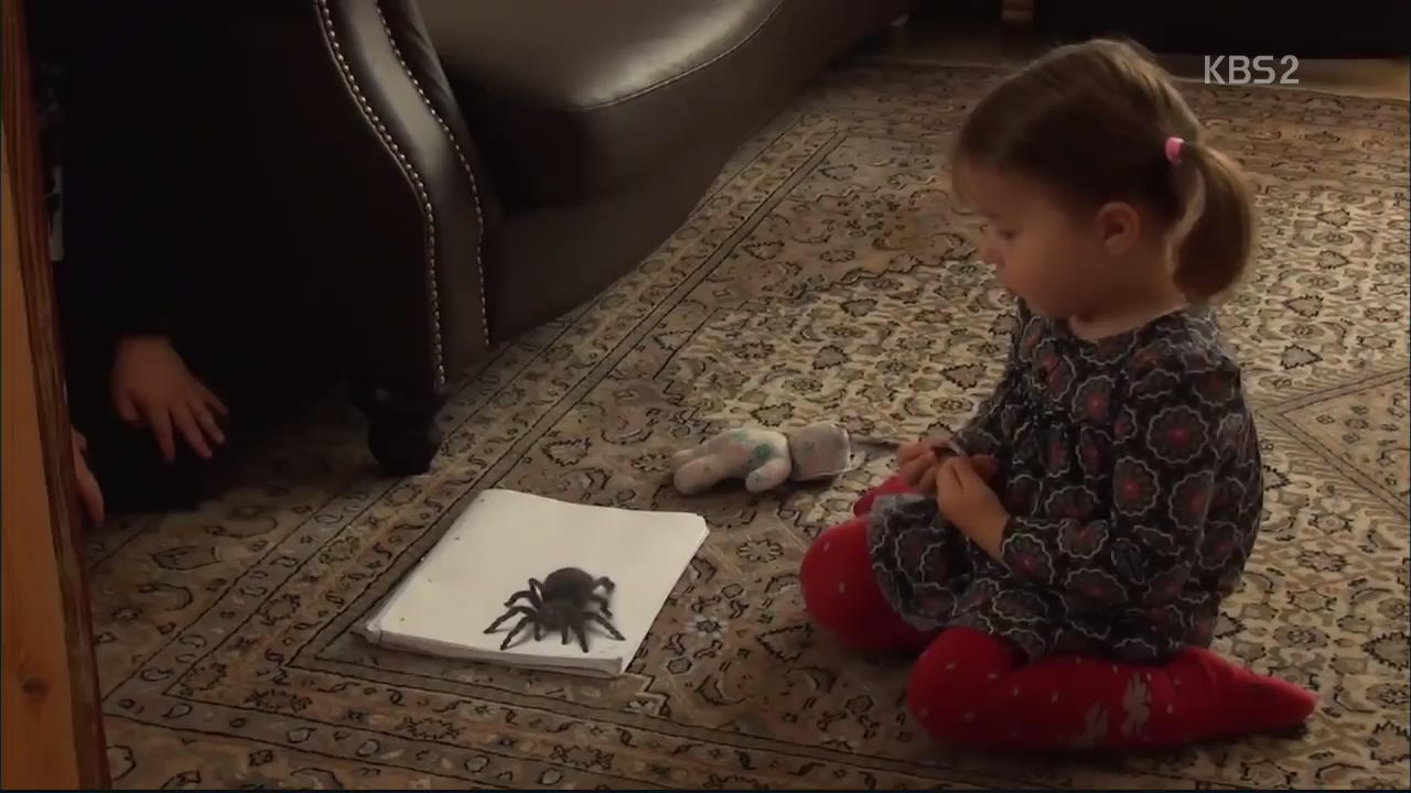 [핫 클릭] 아이를 놀라게 한 거대 거미의 정체