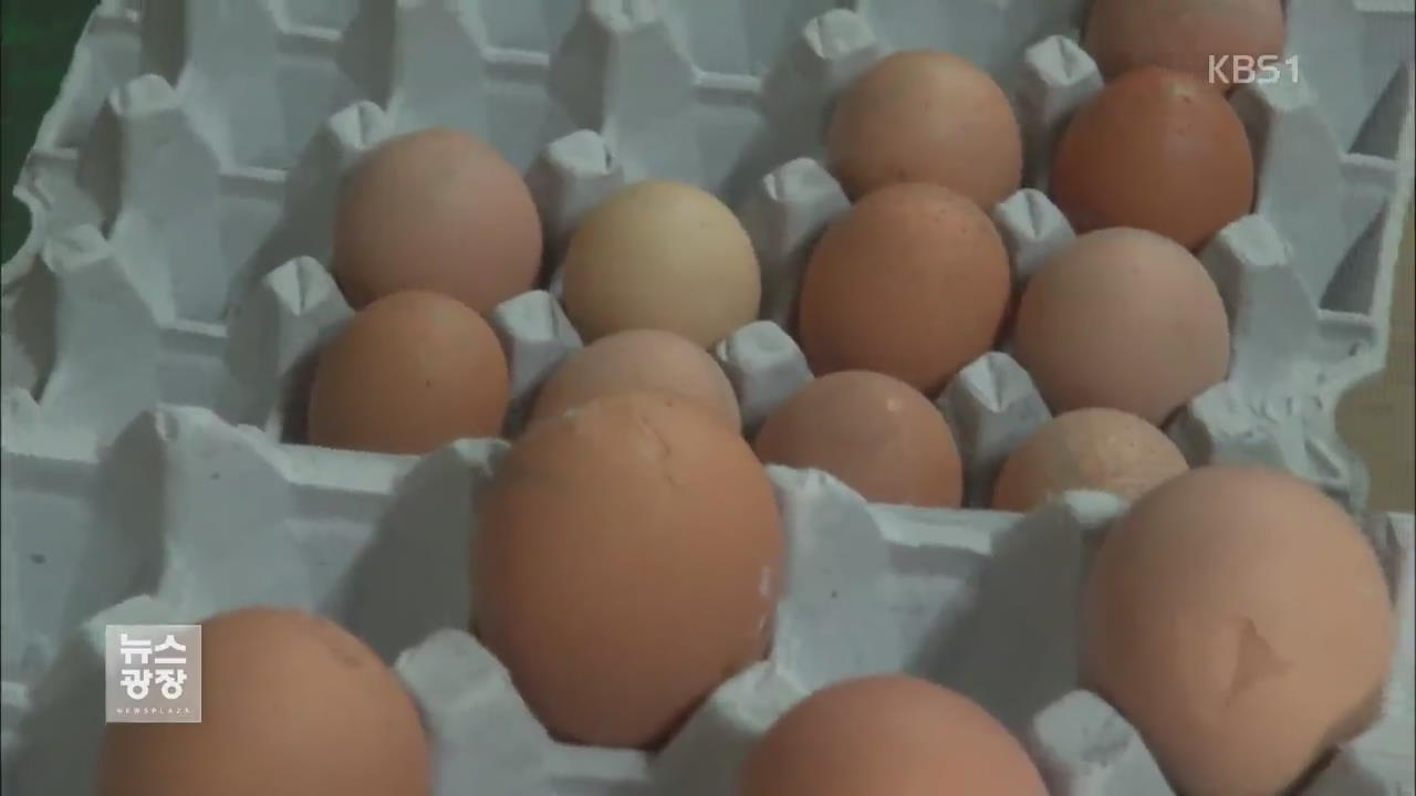 ‘깨지고 금 가고’…불량 달걀 6만여 개 유통