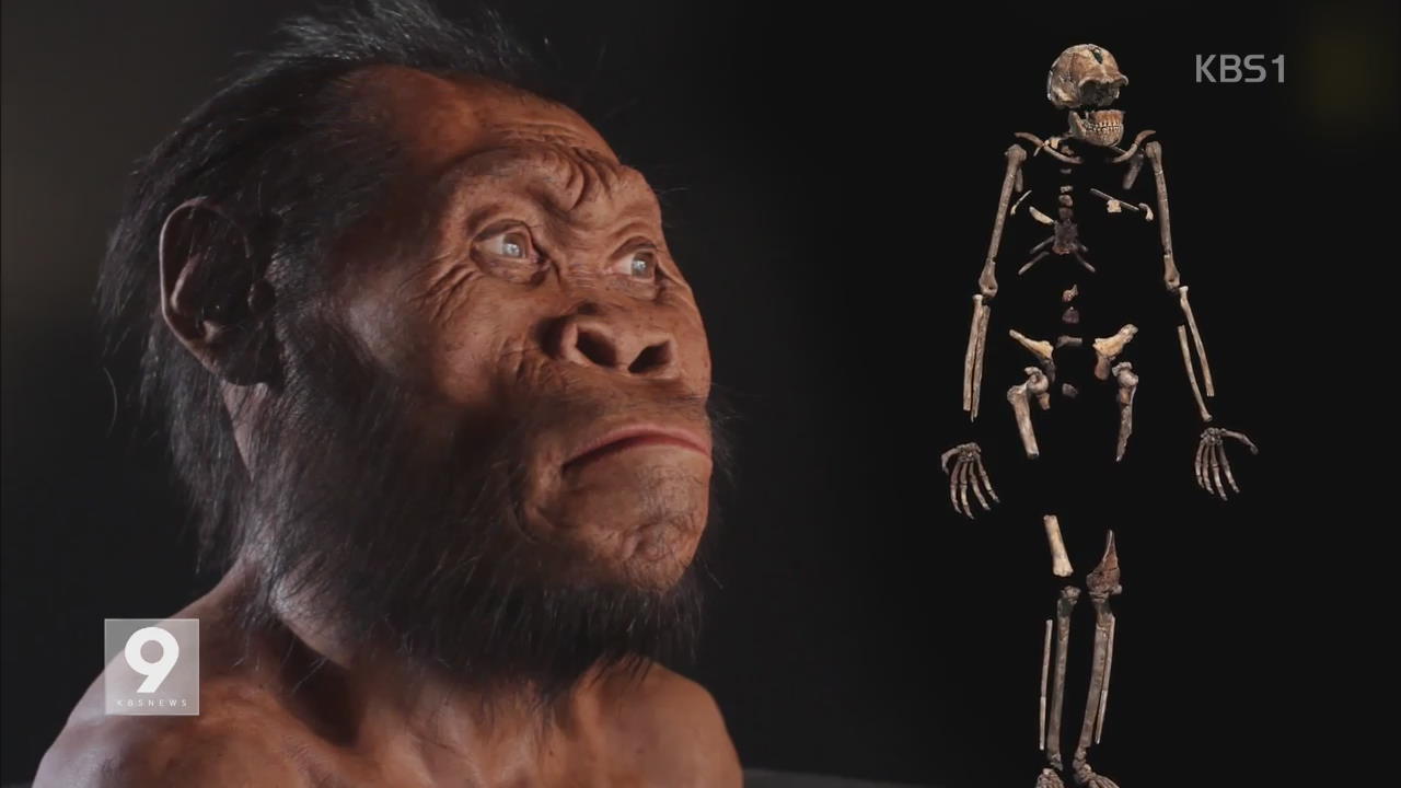 [지금 세계는] 300만 년 전 화석 발견…‘인류 진화 연결’ 열쇠