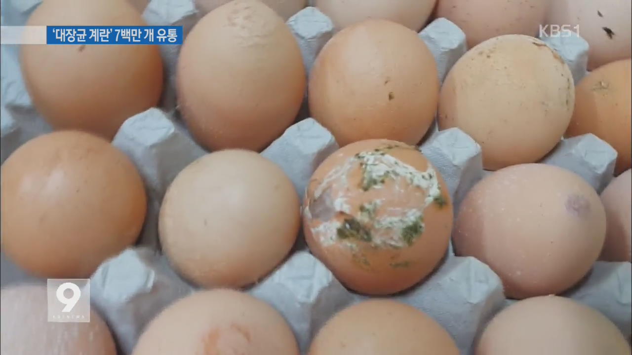 ‘대장균 계란’ 700만 개 유통…빵·과자까지 생산