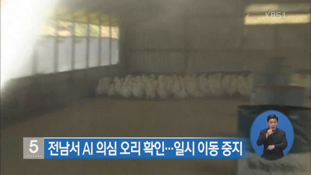 전남서 AI 의심 오리 확인…일시 이동중지