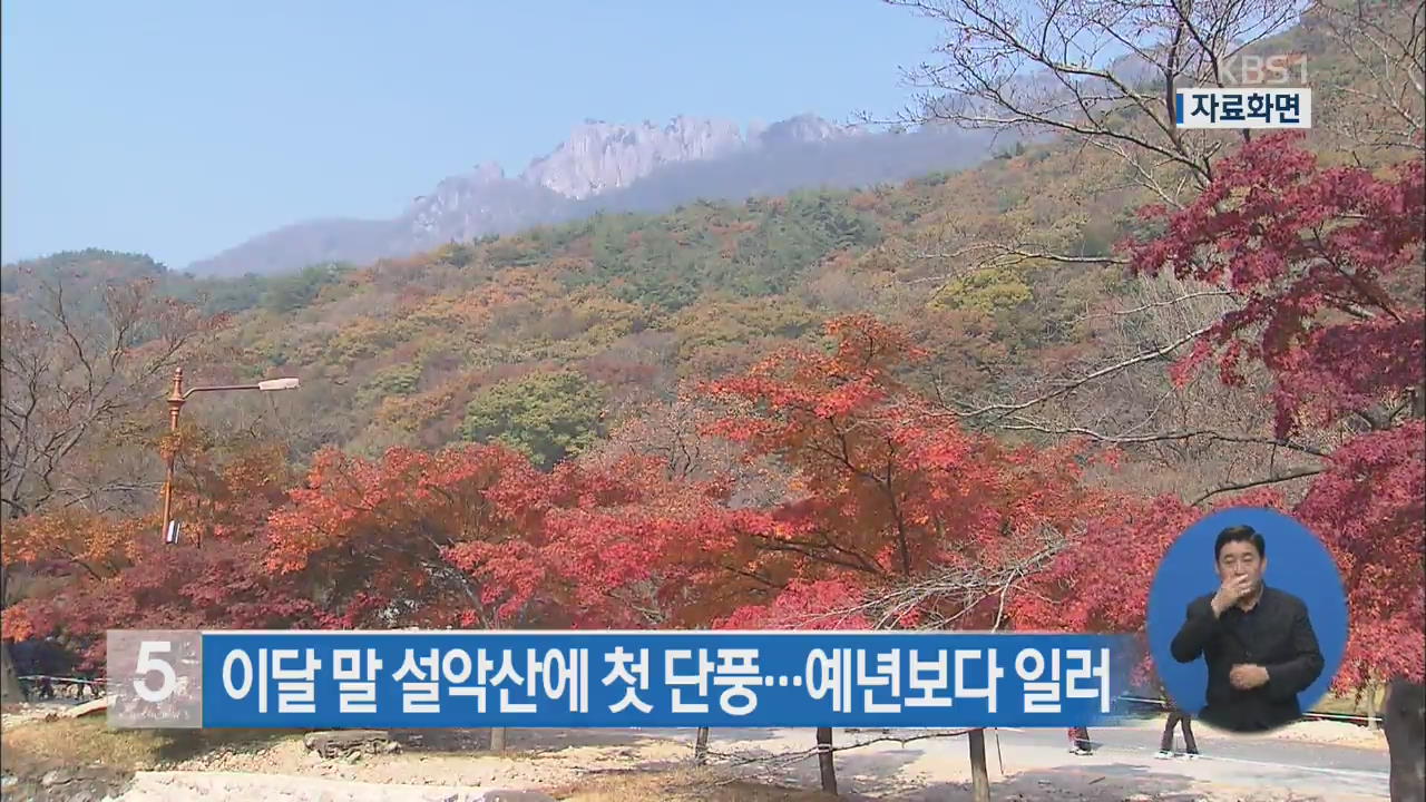 이달 말 설악산에 첫 단풍…예년보다 일러