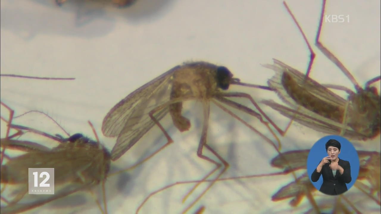 국내 연구진, ‘신속·정확’ 모기 흡혈 비밀 밝혔다