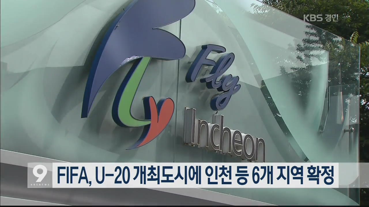 FIFA, U-20 개최도시에 인천 등 6개 지역 확정