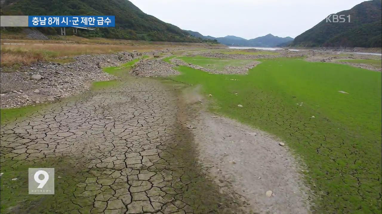 최악의 물 부족…충남 8개 시·군 다음 주 제한 급수