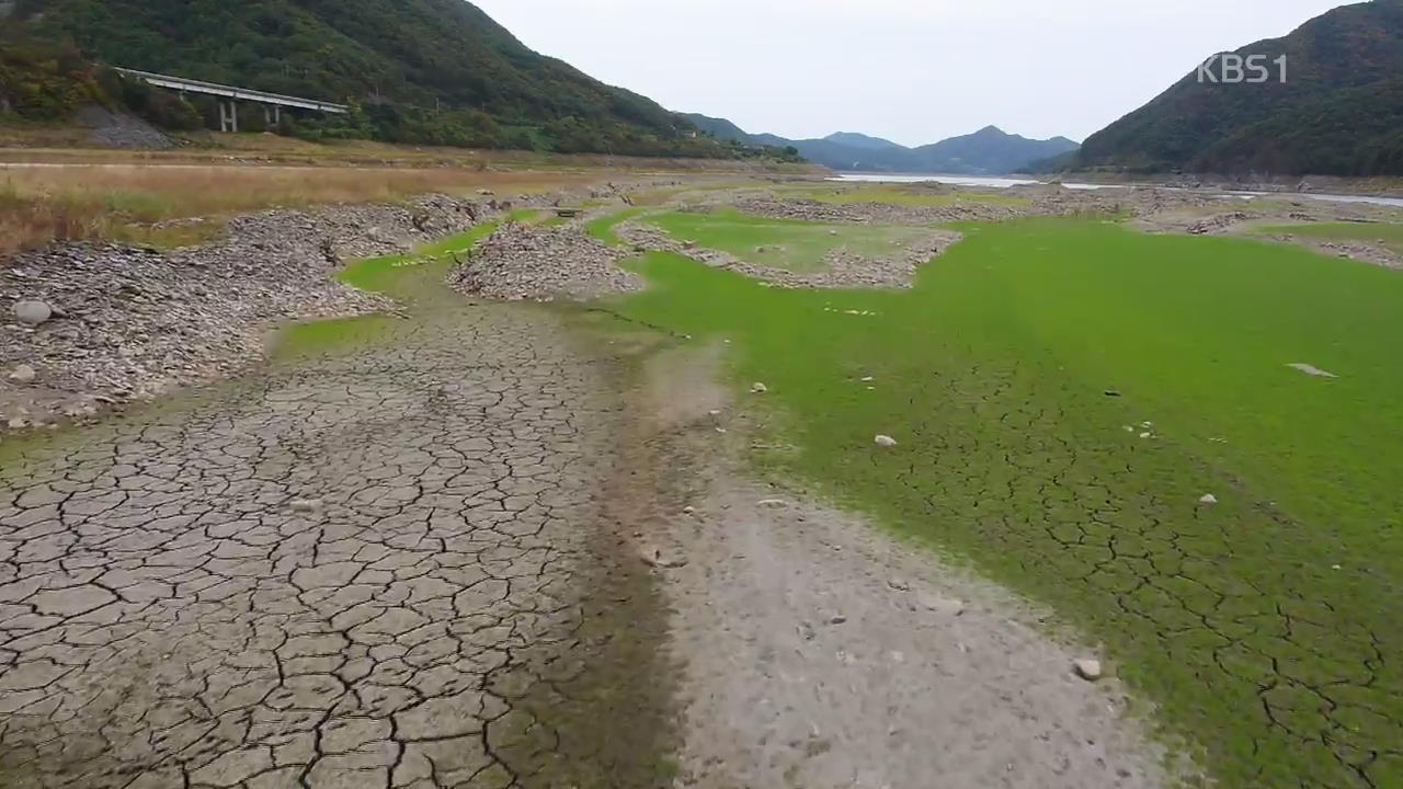 최악의 물 부족…충남 8개 시·군 제한 급수