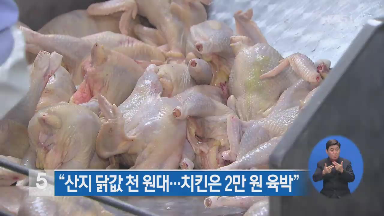 “산지 닭값 1,000원 대…치킨은 2만 원 육박”