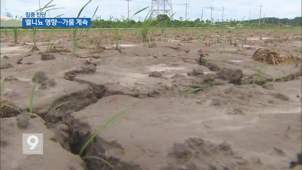 [집중진단] ② 초강력 엘니뇨…내년 봄까지 가뭄