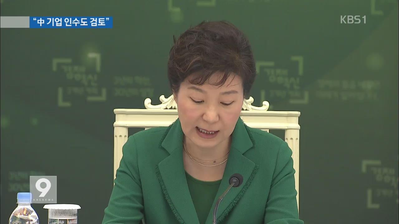 박 대통령 “중국은 여전히 기회…기업 인수도 검토”