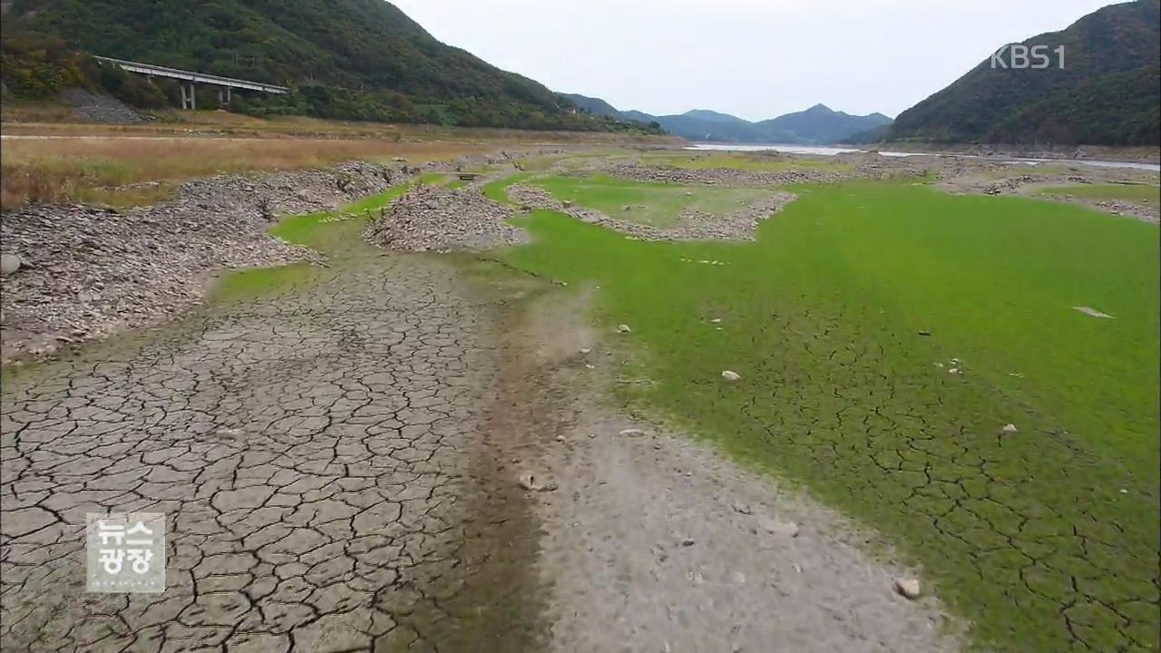 수십년 만에 가뭄…전국서 피해 속출