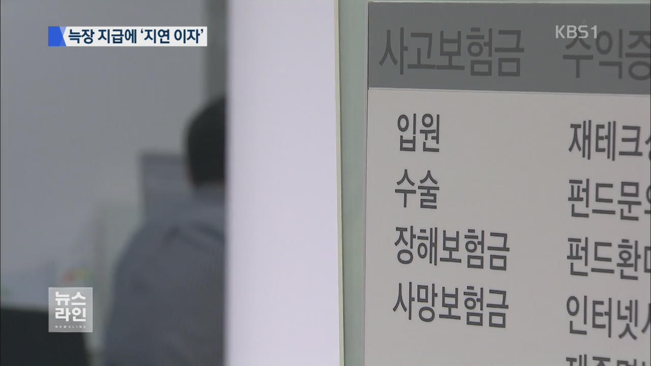 보험금 늑장 지급하면 최고 8% ‘지연 이자’