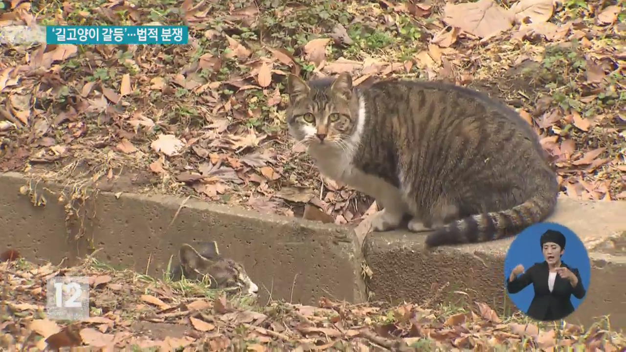 ‘캣맘 사망사건’ 일주일…‘벽돌’ 수배 전단