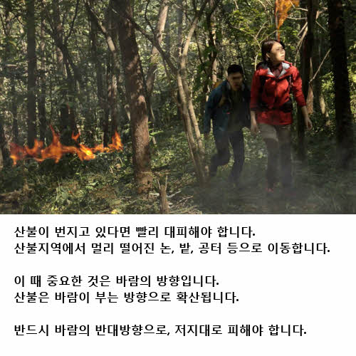 산불 행동요령, 바람이 부는 쪽으로 피하세요