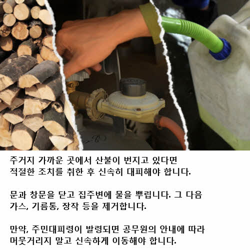 산불 행동요령, 바람이 부는 쪽으로 피하세요