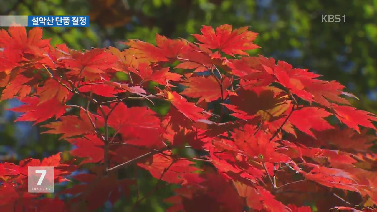 대자연이 주는 선물…설악산 단풍 ‘절정’