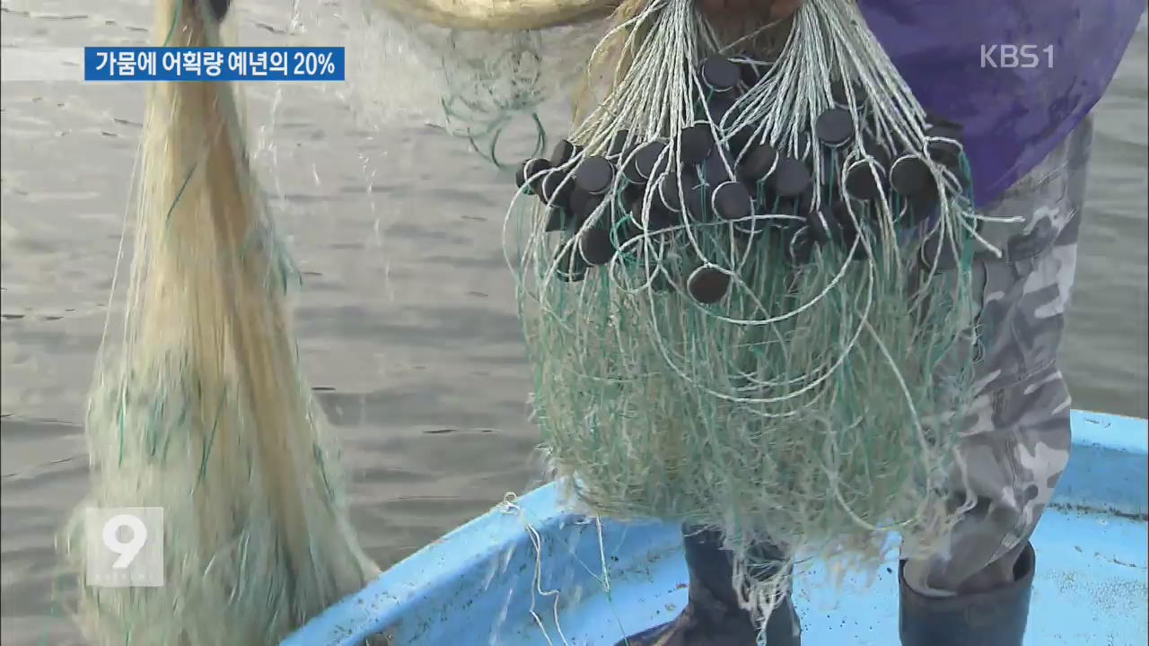 가뭄에 어획량 예년의 20%…대청호 어민들 ‘한숨’