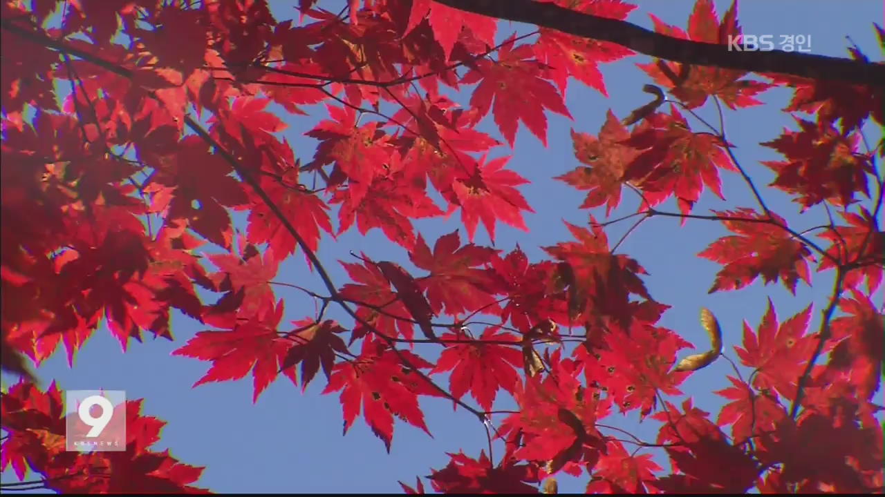 ‘알록달록’ 설악산 단풍 주말 절정