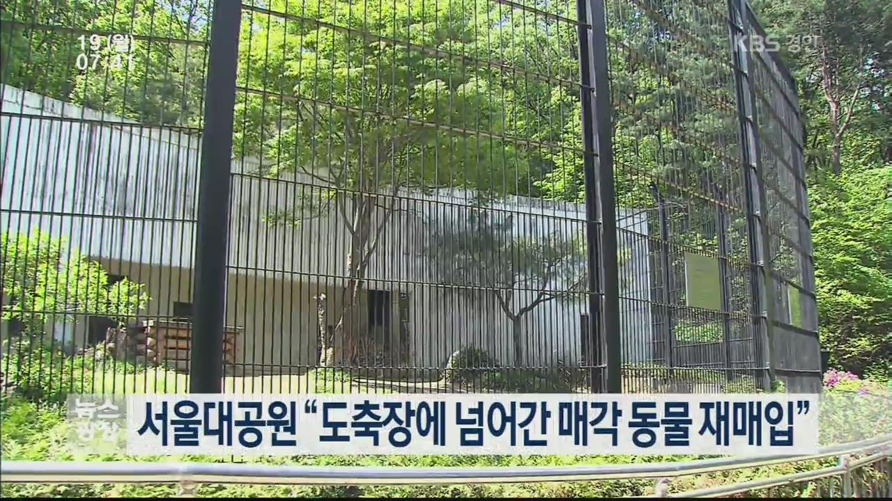 서울대공원 “도축장에 넘어간 매각 동물 재매입”
