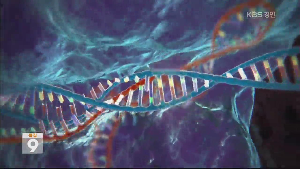 DNA 사용 없이 식물 유전자 교정 성공