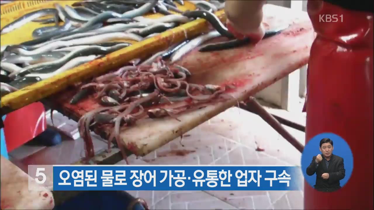 오염된 물로 장어 가공·유통한 업자 구속