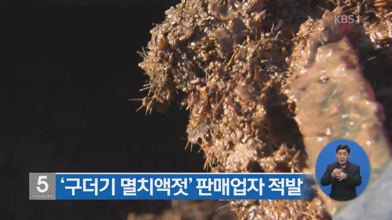‘구더기 멸치액젓’ 판매업자 적발