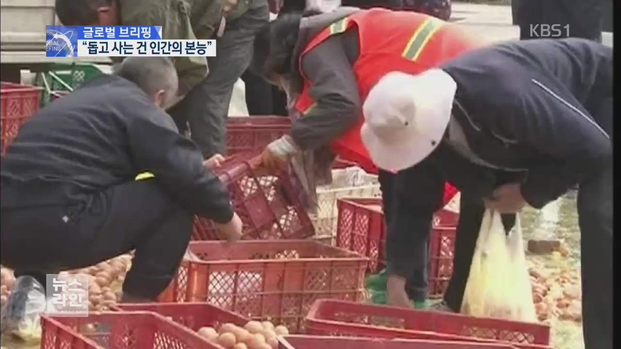 [글로벌 브리핑] 도로에 쏟아진 달걀…중국 시민 반응은?