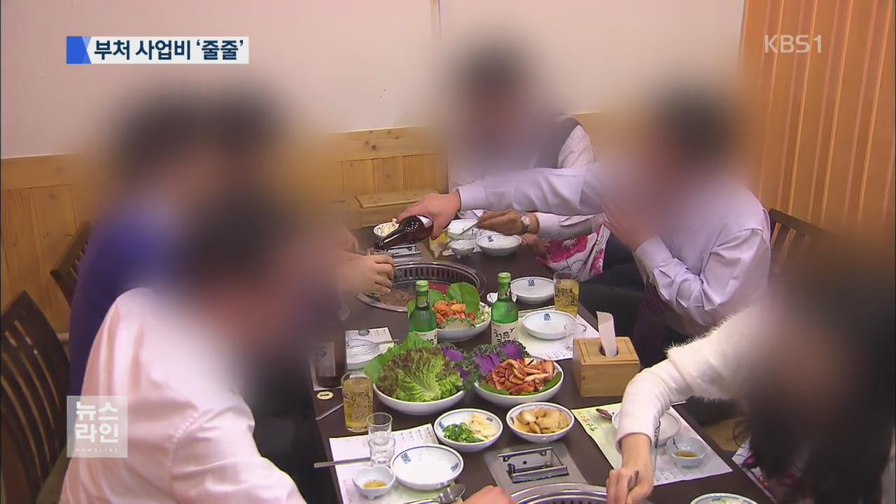 회식에 교통비까지…부처 사업비가 쌈짓돈?