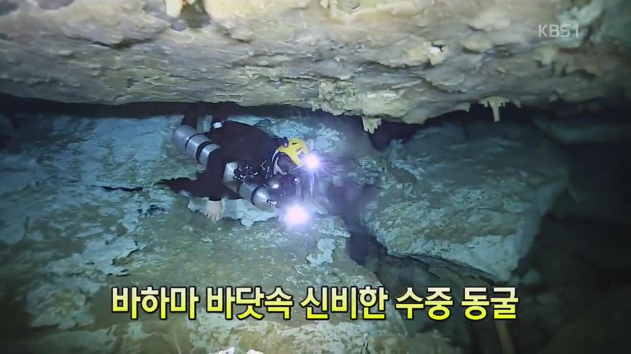 [세상의 창] 바닷속 이런 신비한 수중 동굴이…