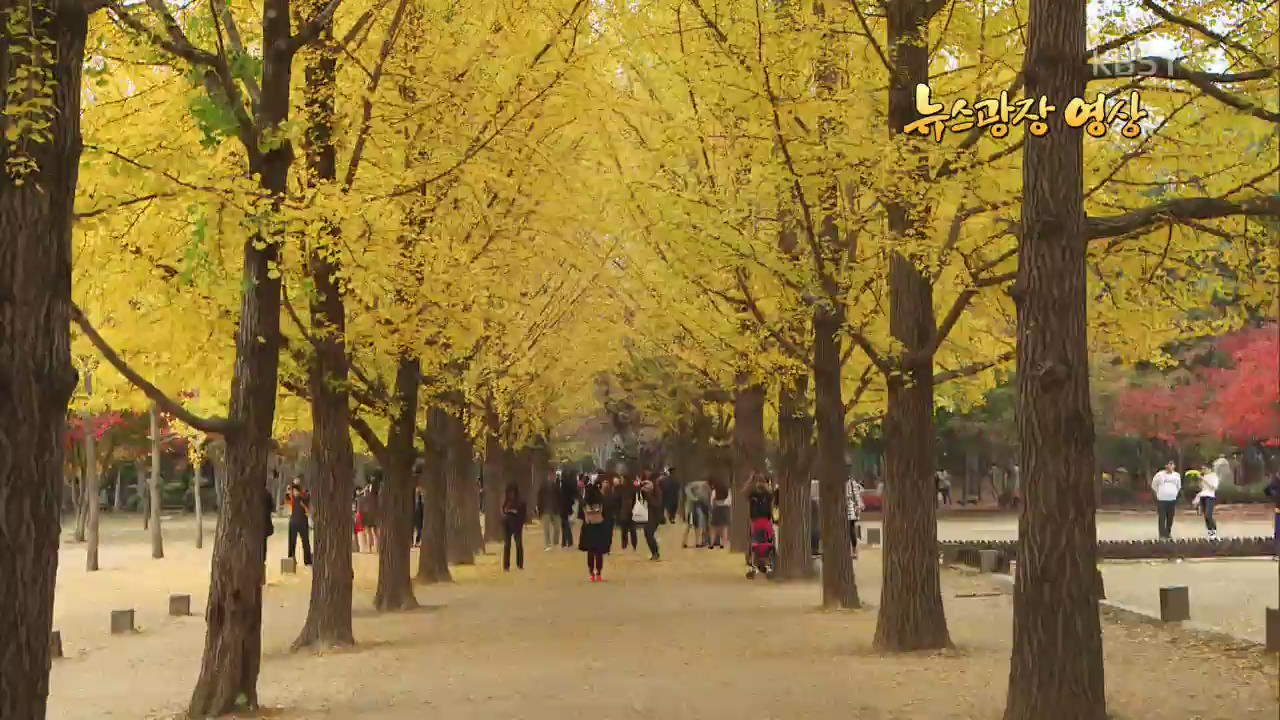 [뉴스광장 영상] 깊어가는 가을