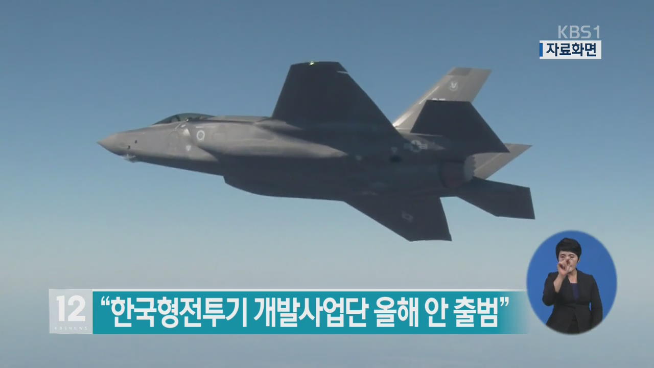 “한국형 전투기 개발사업단 올해 안에 출범”