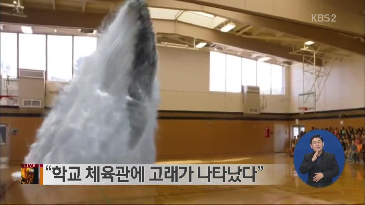 [글로벌24 브리핑]  “학교 체육관에 고래가 나타났다”
