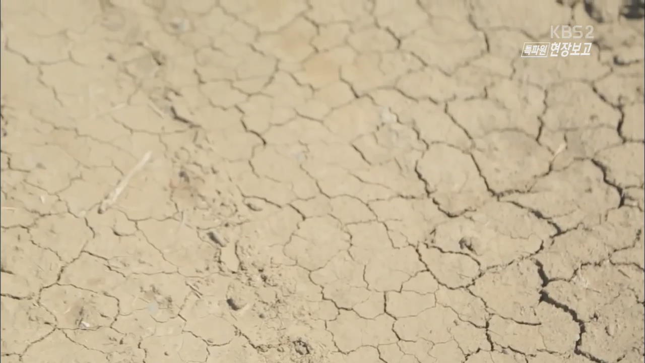 [월드 리포트] 4년째 대가뭄…“인간이 부른 재앙”