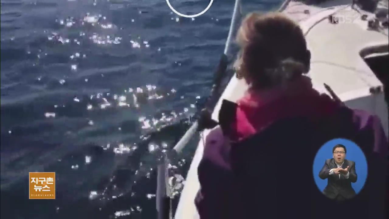 [지구촌 생생영상] 바다 위 떠다니던 강아지 구조  