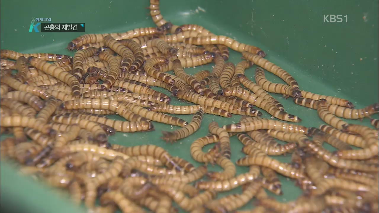 벌레에서 산업으로 곤충의 재발견