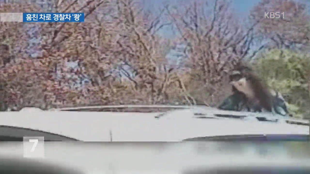 훔친 차로 경찰차 ‘쾅’…음주 여성운전자 체포
