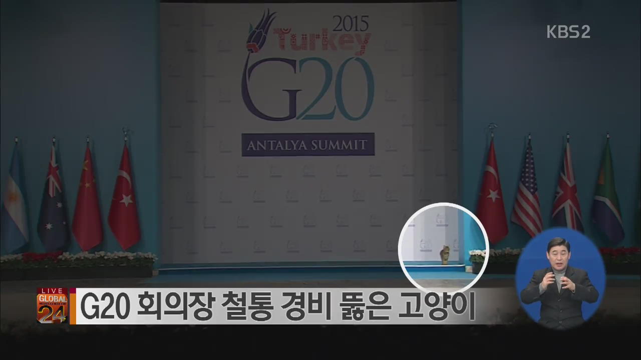 [글로벌24 브리핑] G20 회의장 철통 경비 뚫은 고양이