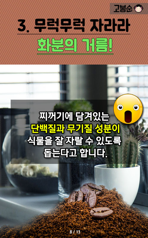 커피 찌꺼기 100% 활용법 어떤 것이 있을까?