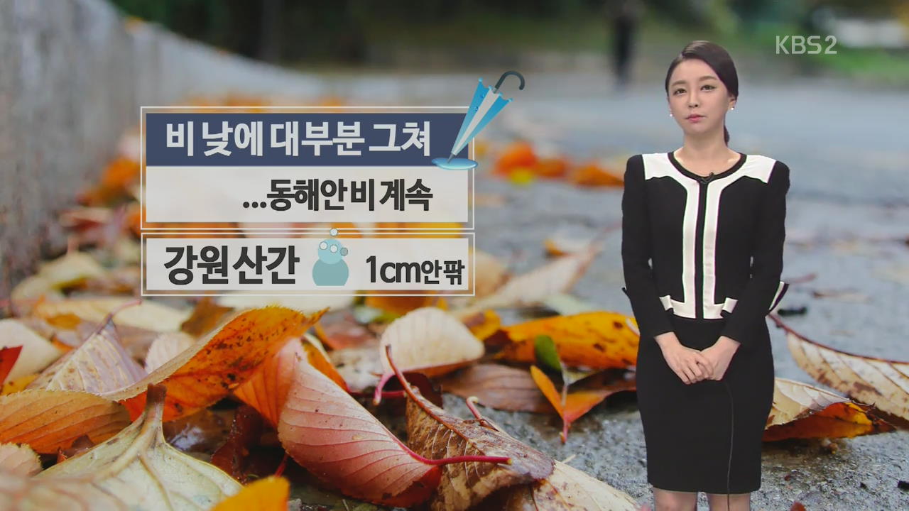 전국 낮까지 비…동해안 내일 아침까지 비 계속