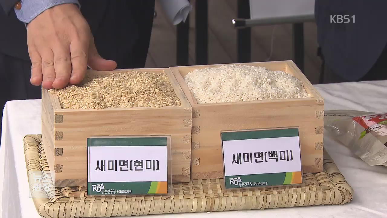 식감 부드럽고 쫄깃…‘파스타용 쌀’ 육성