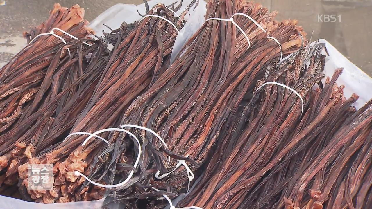 백억 원대 ‘오징어 다리’ 불법 유통