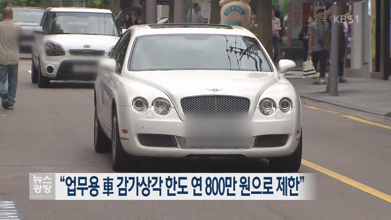 “업무용 車 감가상각 한도 연 800만 원으로 제한”