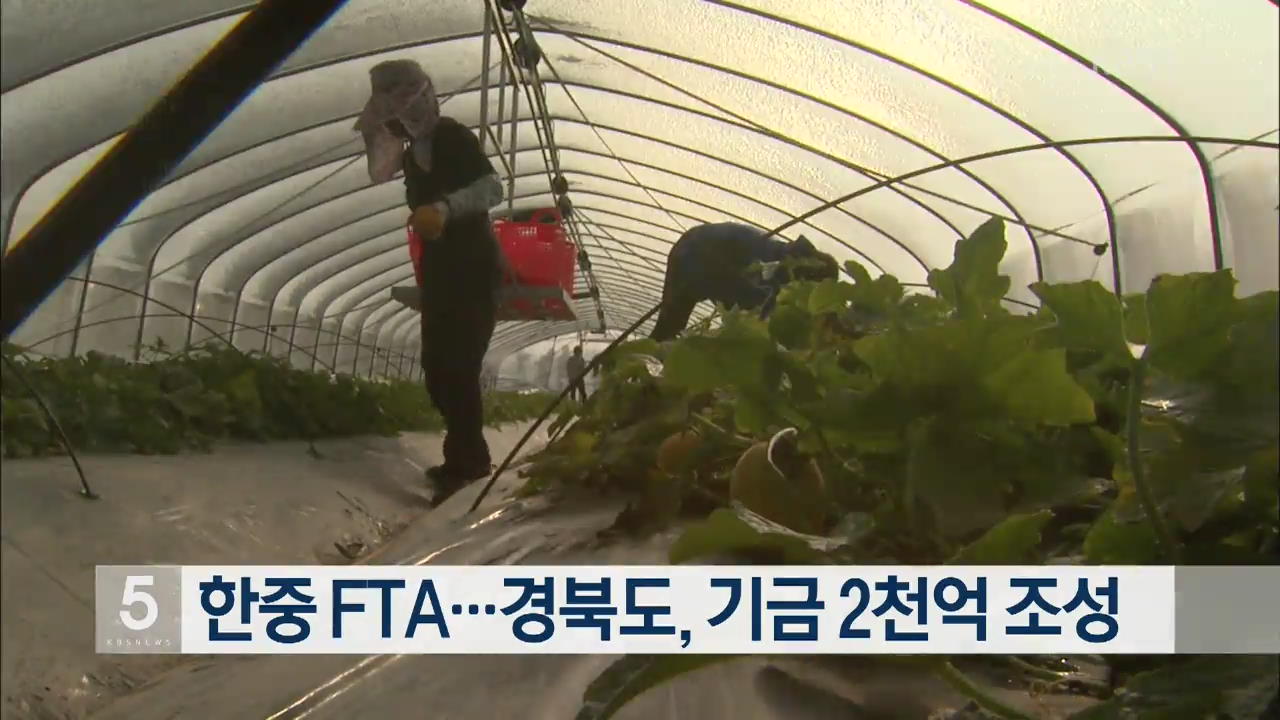 한중 FTA…경북도, 기금 2천억 조성