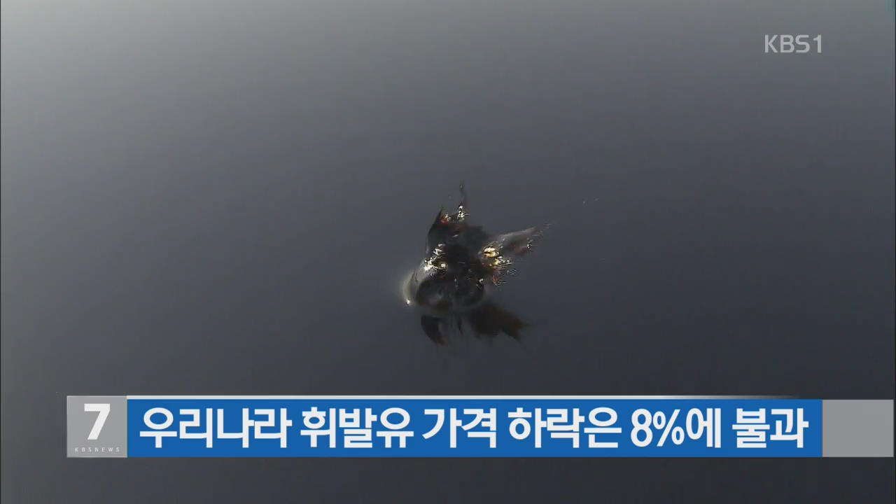 우리나라 휘발유 가격 하락은 8%에 불과