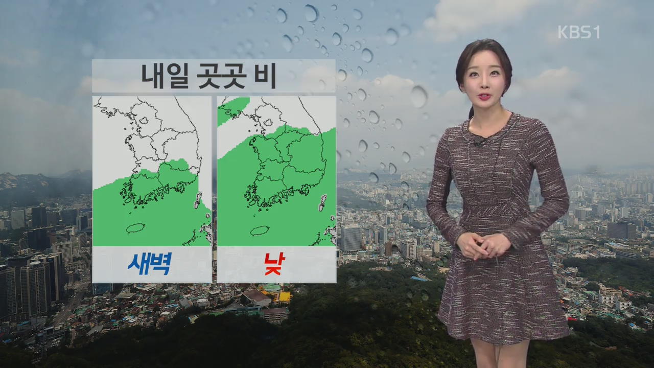 내일 전국 곳곳 비 내리며 미세먼지 농도 낮아져