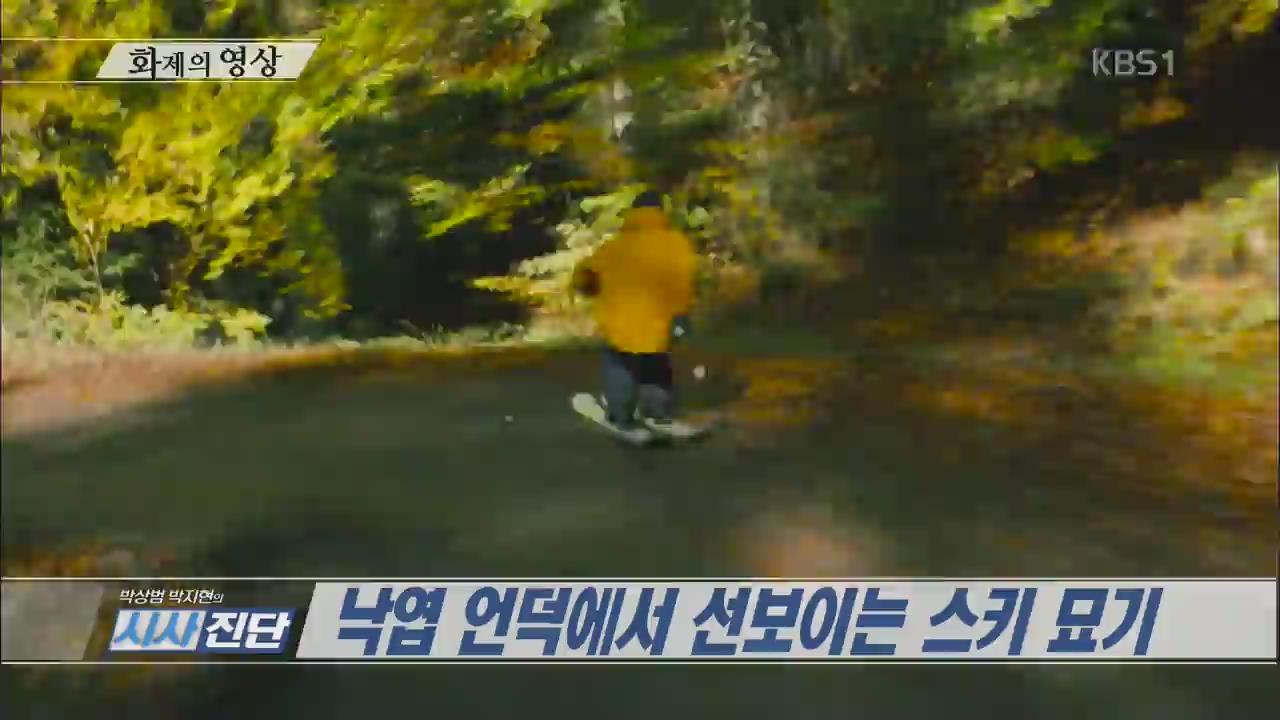 [오늘의 영상] 낙엽 언덕에서 선보이는 스키 묘기 외