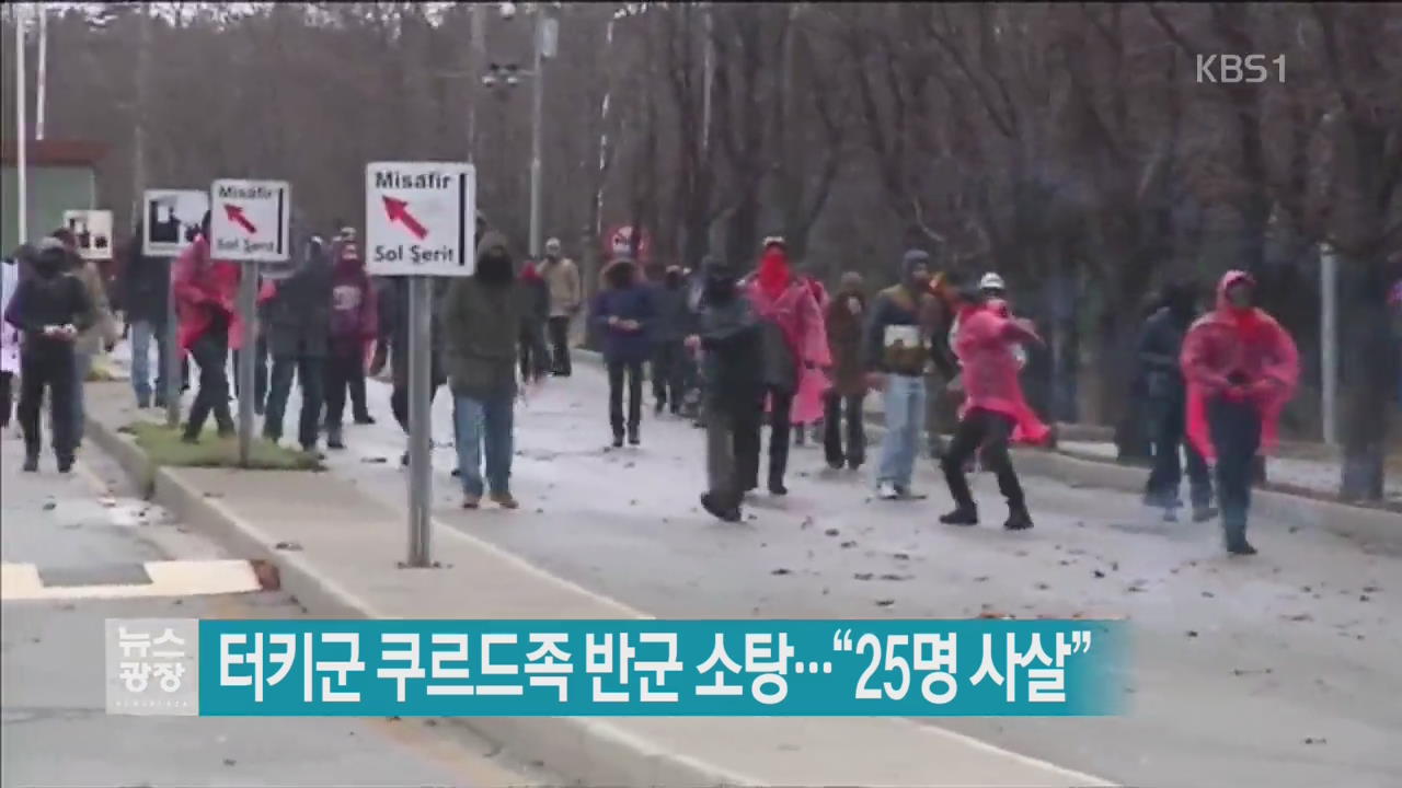 [지금 세계는] 터키군 쿠르드족 반군 소탕…“25명 사살”